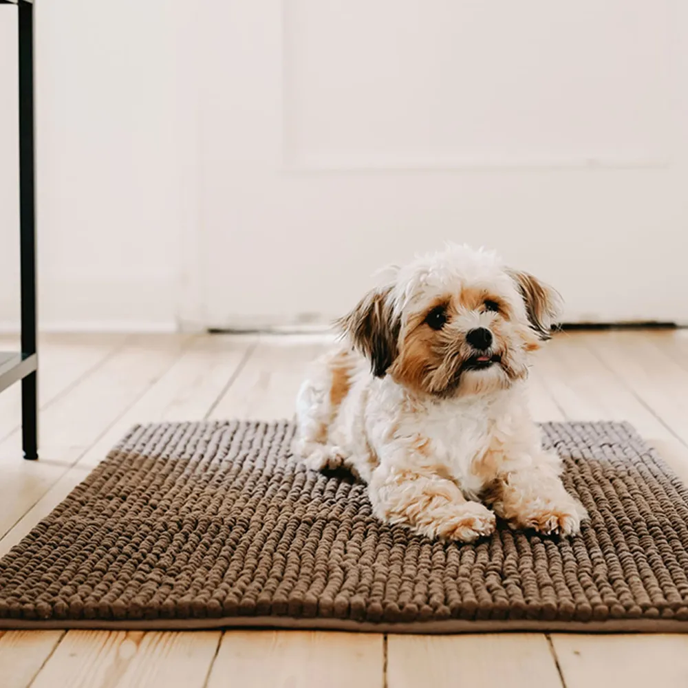 Hunter Waterloo Brush Mat for Dogs (Brown)