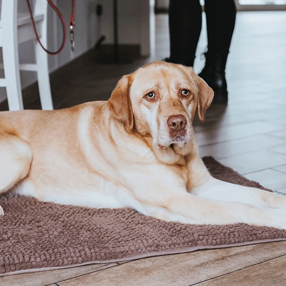 Hunter Waterloo Brush Mat for Dogs (Brown)